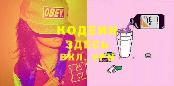 шишки Белоозёрский